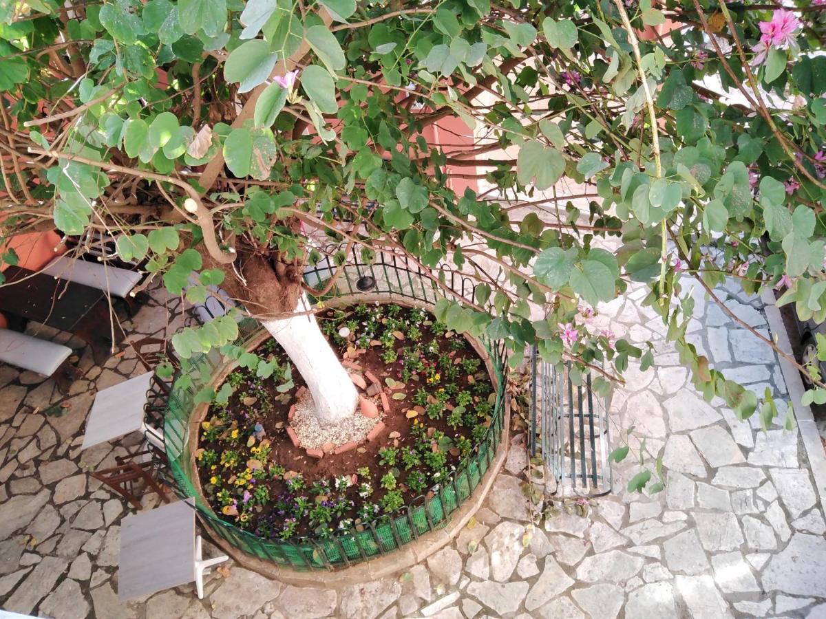 Lilliput Studio Corfu Old Town Exteriör bild