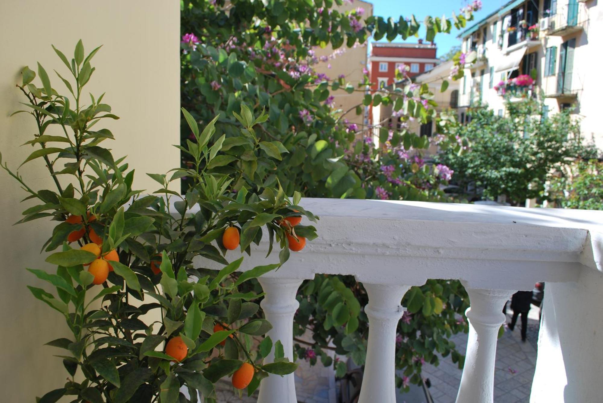 Lilliput Studio Corfu Old Town Exteriör bild